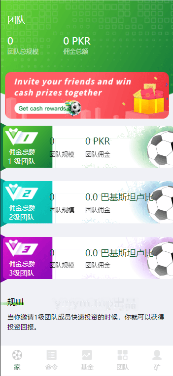 海外足球体育场投资理财源码