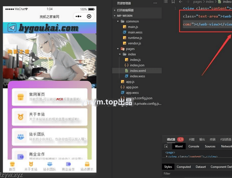网站转小程序 任意网址打包成小程序源码