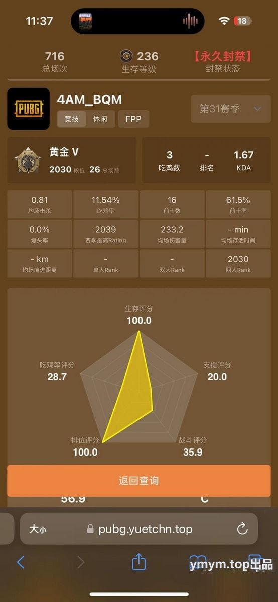 PUBG战绩查询工具源码