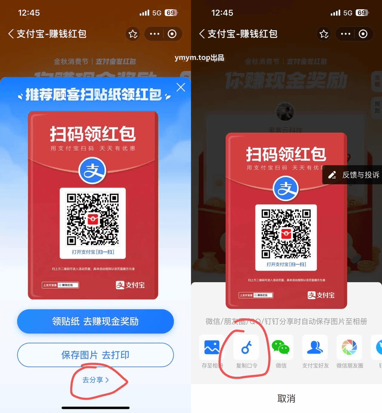 支付宝自动领取赏金 免复制口令网站源码